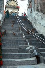 Nepal (36 von 124).jpg